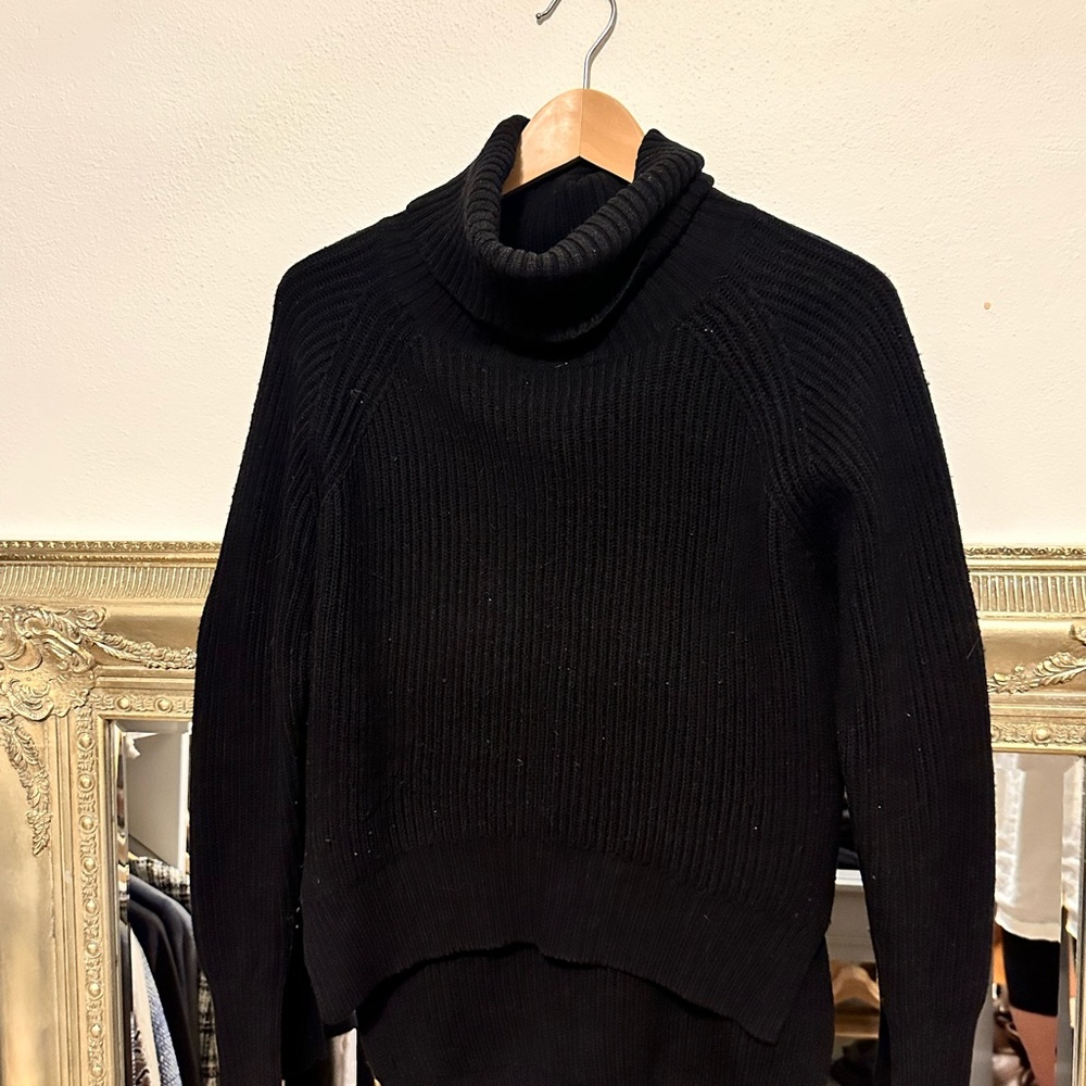 Wilfred Free 100% Wool Turtleneck Sweater